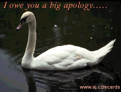 I owe you a big apology
