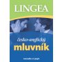 Lingea - esko-anglick mluvnk + drek