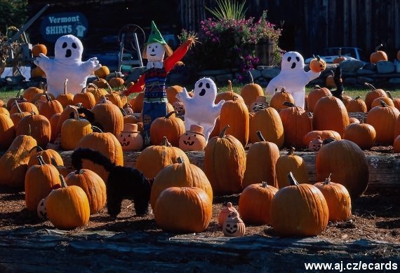 Halloween