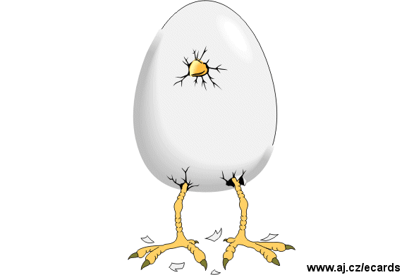 Egg