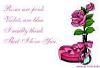 Pink roses