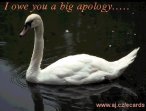 I owe you a big apology…