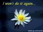 I won't do it again…